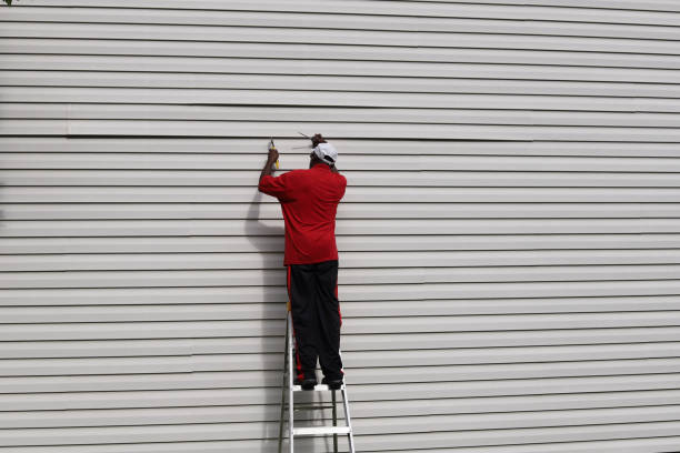 Best Aluminum Siding Installation  in Sleepy Hollow, IL